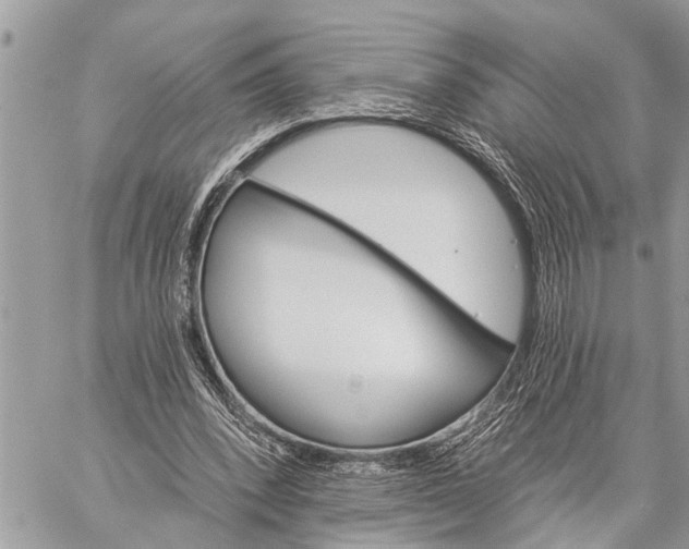 X0000059080392200510281729