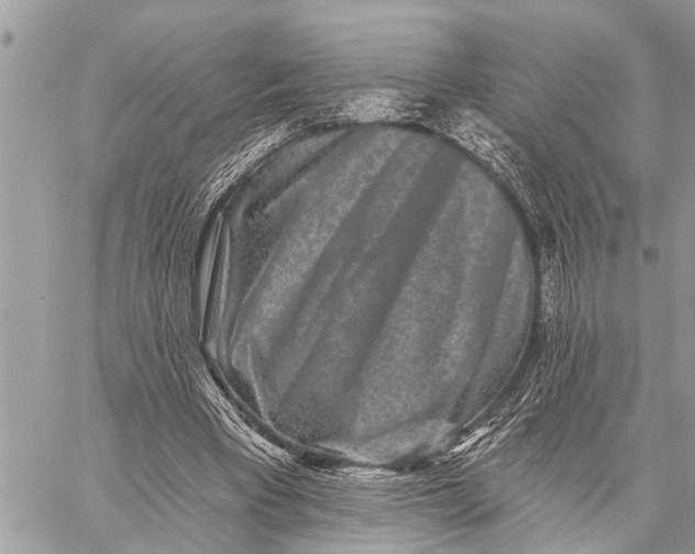 X0000059080393200510281729