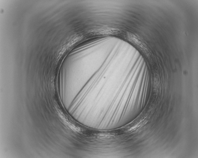 X0000059080394200510281729