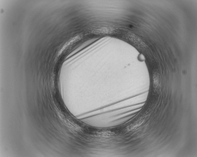 X0000059080396200510281729