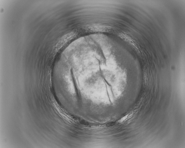 X0000059080398200510281729