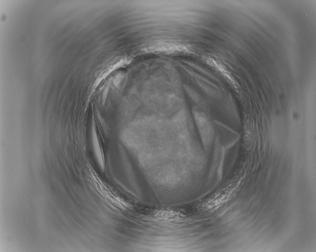 X0000059080399200510281729