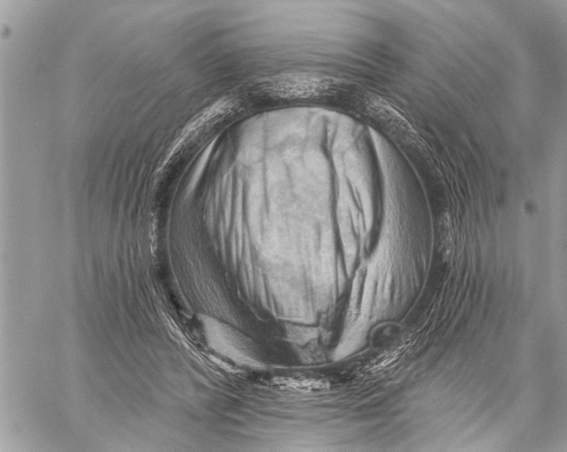 X0000059080400200510281729