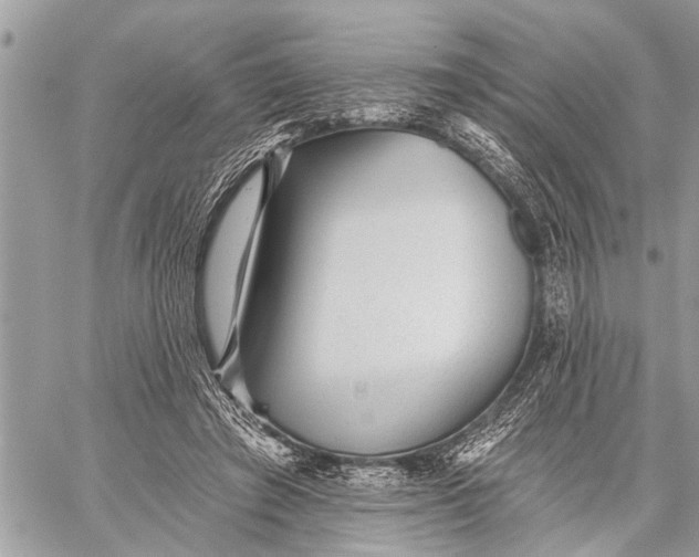 X0000059080401200510281729