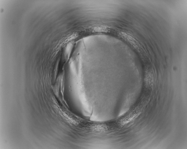 X0000059080402200510281729