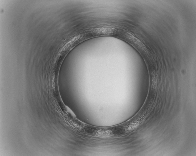 X0000059080403200510281729