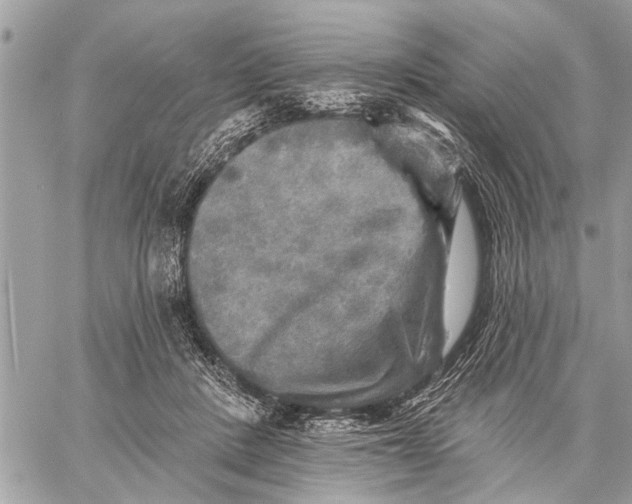 X0000059080408200510281728