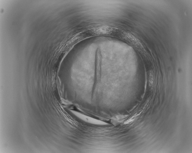 X0000059080409200510281728