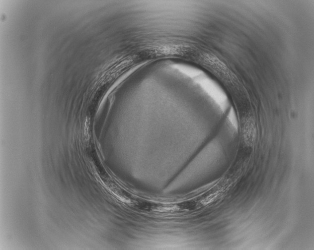 X0000059080410200510281728