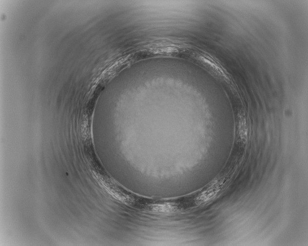 X0000059080411200510281728