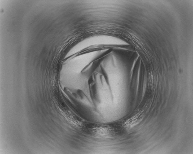 X0000059080412200510281728