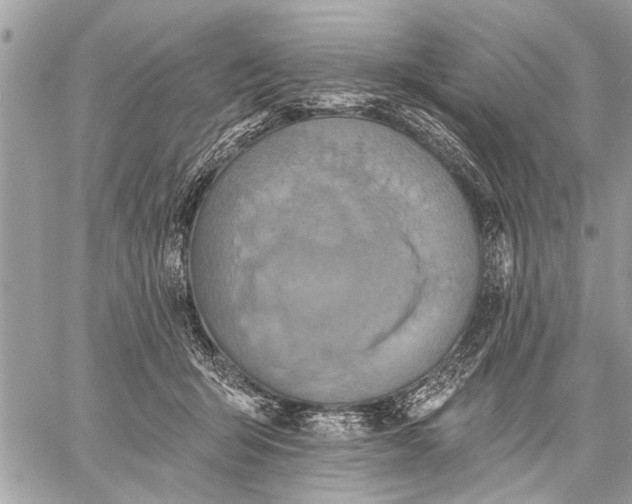 X0000059080415200510281728