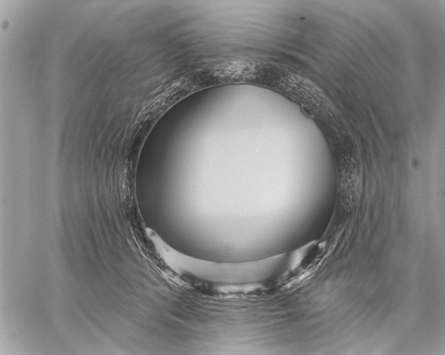 X0000059080416200510281728