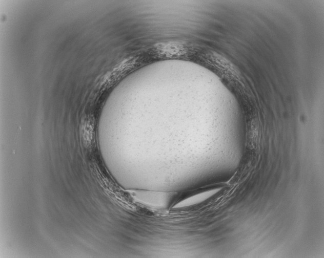 X0000059080417200510281728