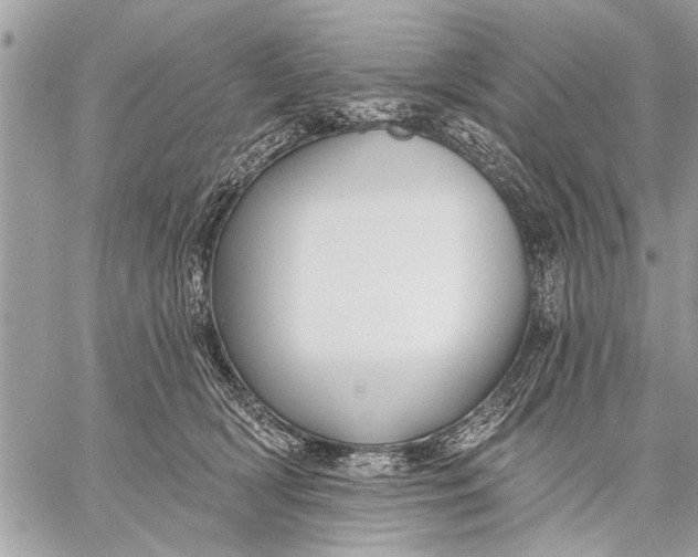 X0000059080418200510281728