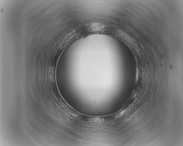 X0000059080421200510281728