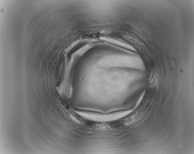 X0000059080424200510281728