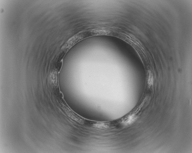 X0000059080425200510281728