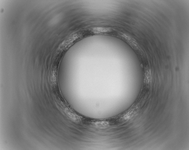 X0000059080426200510281728