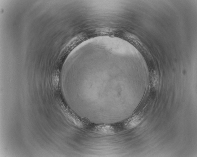 X0000059080427200510281728