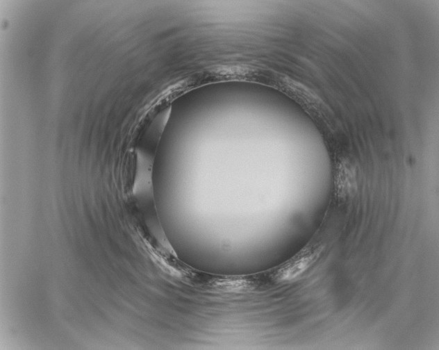 X0000059080428200510281728