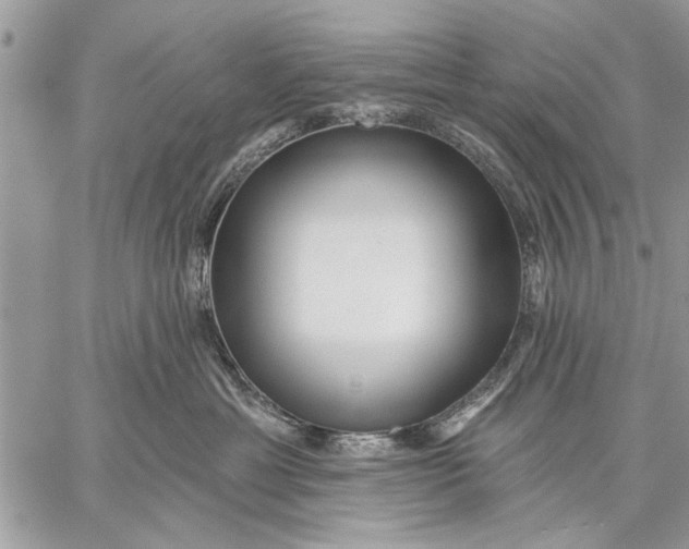 X0000059080429200510281728