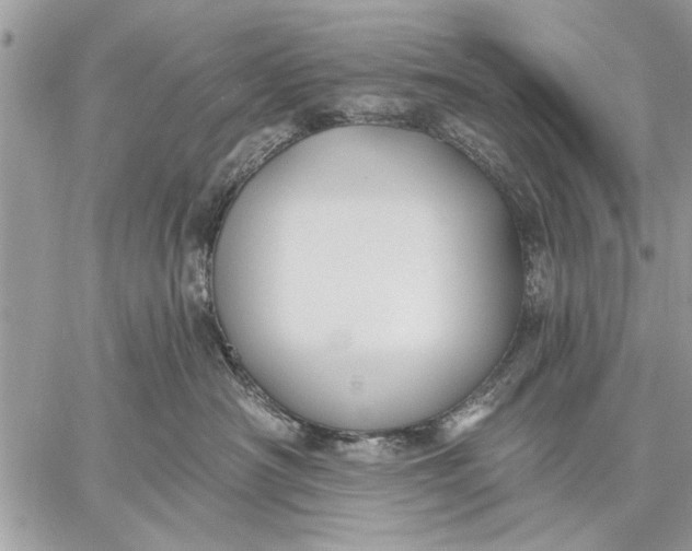 X0000059080430200510281728