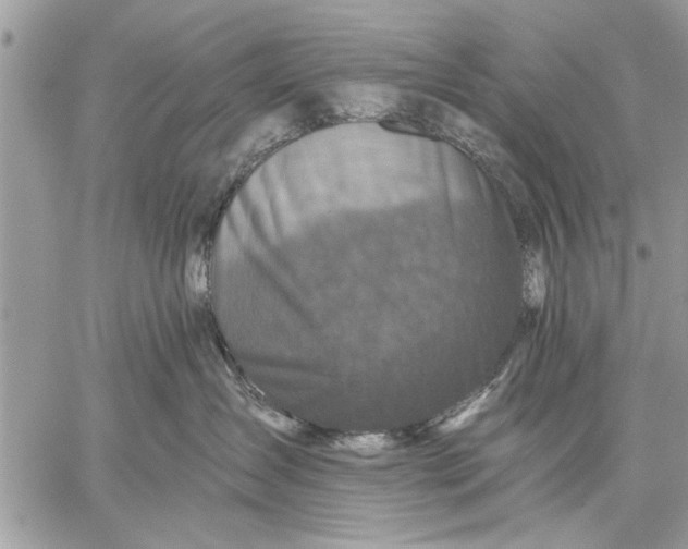 X0000059080431200510281728