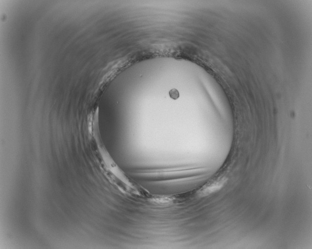 X0000059080432200510281728