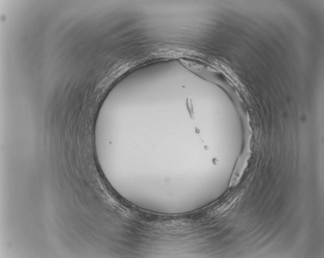 X0000059080433200510281727