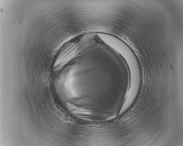 X0000059080434200510281727