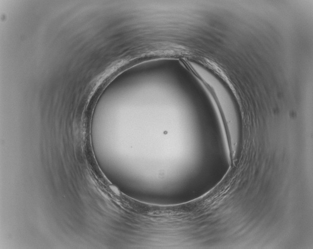 X0000059080435200510281727