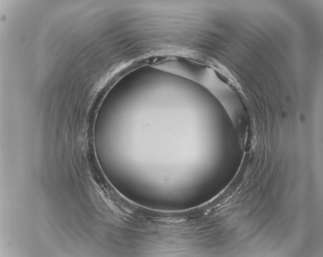 X0000059080436200510281727