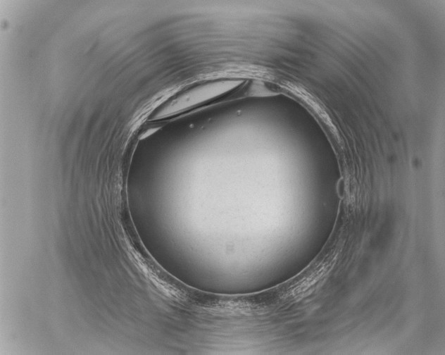 X0000059080437200510281727