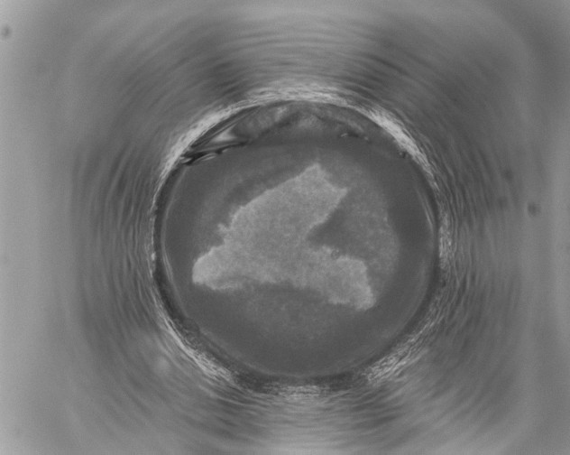 X0000059080438200510281727