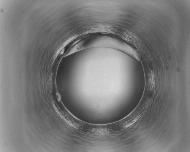 X0000059080440200510281727