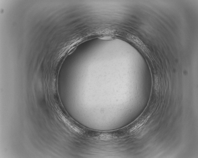 X0000059080441200510281727