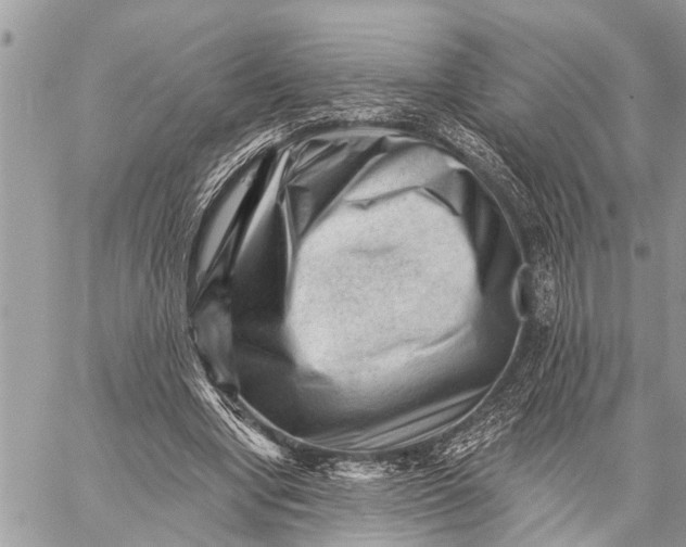 X0000059080442200510281727