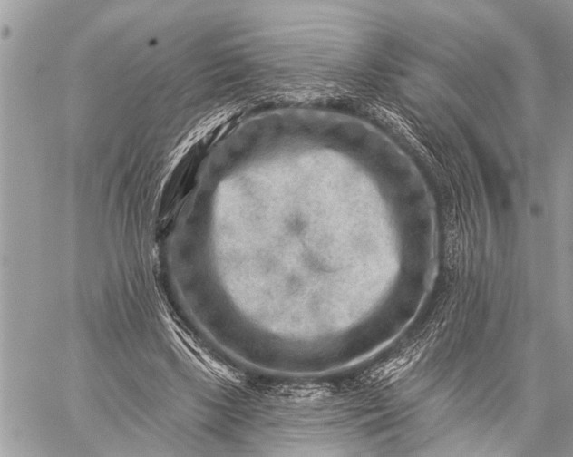 X0000059080443200510281727