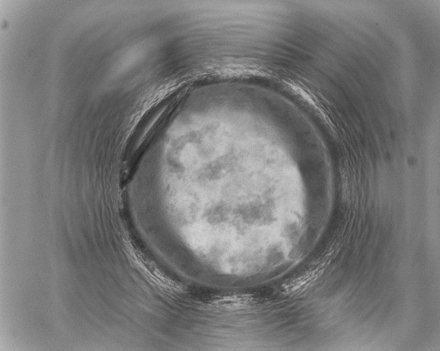 X0000059080447200510281727