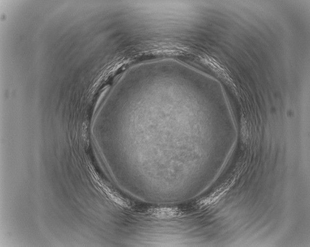 X0000059080449200510281728