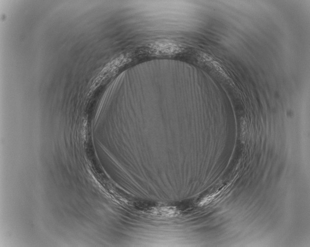 X0000059080451200510281728