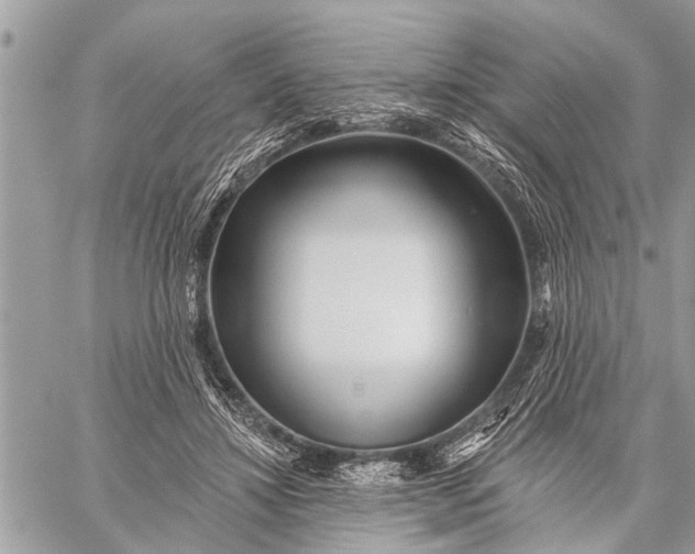 X0000059080452200510281728