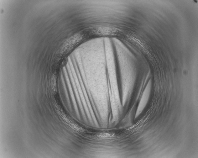 X0000059080453200510281728