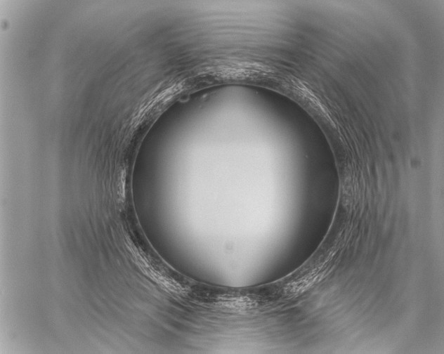 X0000059080454200510281728