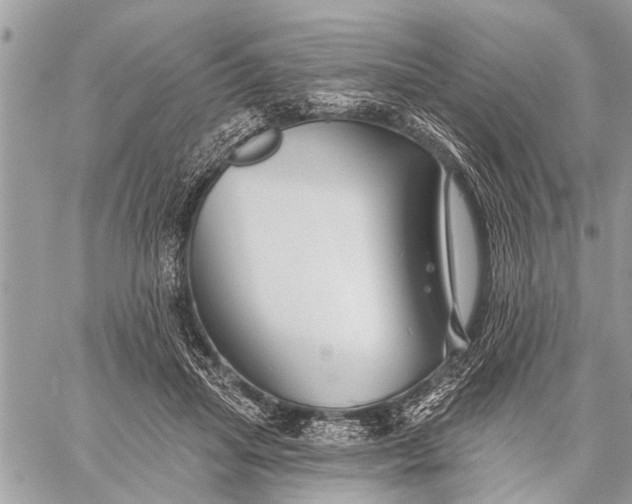 X0000059080455200510281728