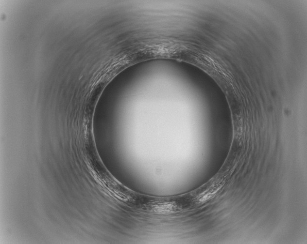 X0000059080456200510281728