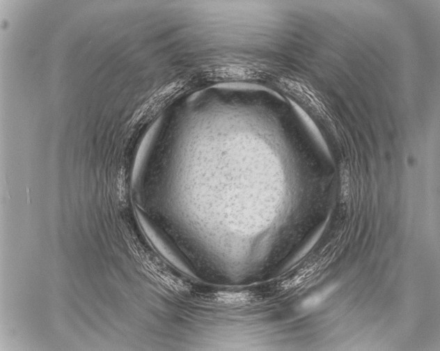 X0000059080457200510281728