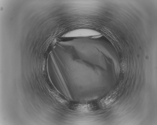 X0000059080458200510281728