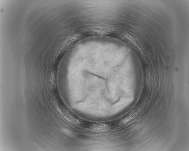 X0000059080459200510281728